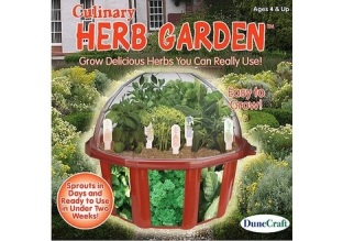 herb garden 30
